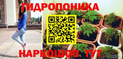 a pvp Рузаевка