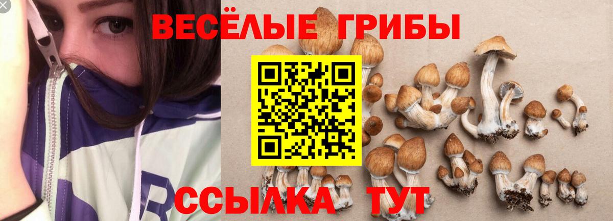 Галлюциногенные грибы мицелий  Вход с VPN  Россошь 